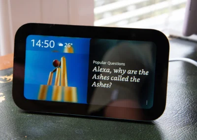 Understanding dark patterns in home IOT devices
