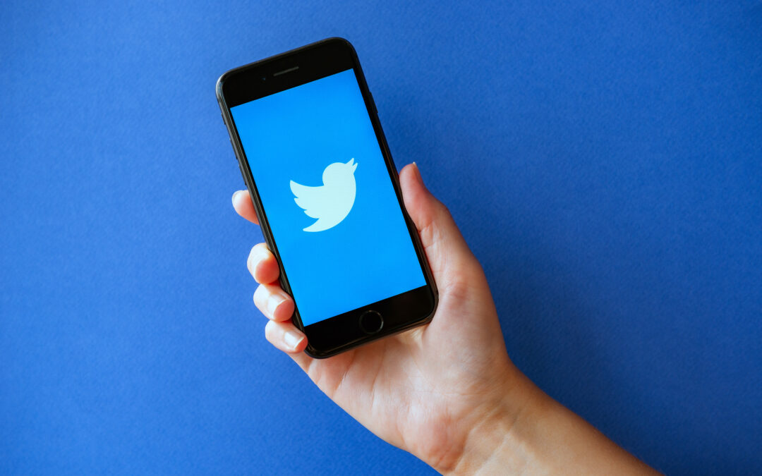 DomainDemo: a dataset of domain-sharing activities among different demographic groups on Twitter