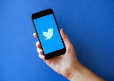 DomainDemo: a dataset of domain-sharing activities among different demographic groups on Twitter