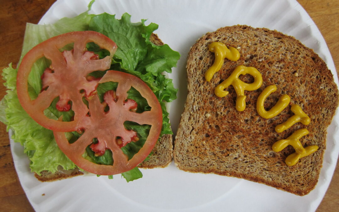 The truth sandwich format does not enhance the correction of misinformation