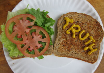 The truth sandwich format does not enhance the correction of misinformation